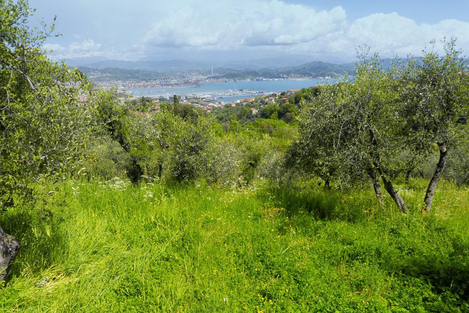 Gli Ulivi Sul Golfo E Le 5 Terre Apartment Специя Екстериор снимка