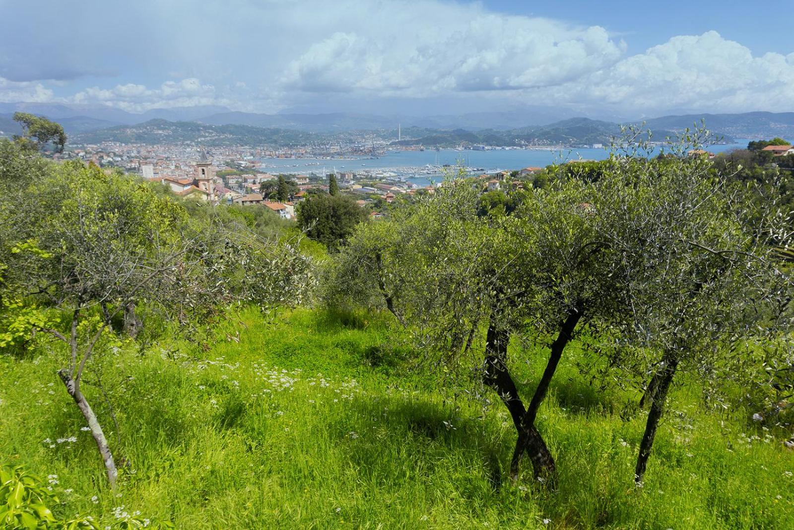 Gli Ulivi Sul Golfo E Le 5 Terre Apartment Специя Екстериор снимка