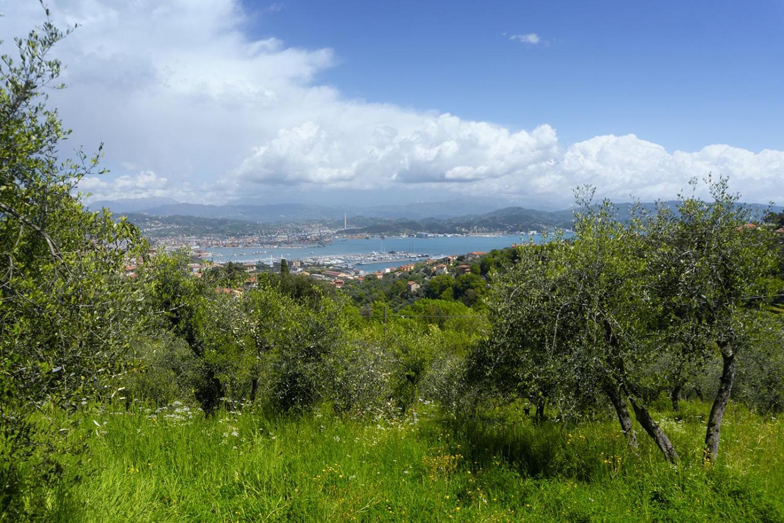 Gli Ulivi Sul Golfo E Le 5 Terre Apartment Специя Екстериор снимка